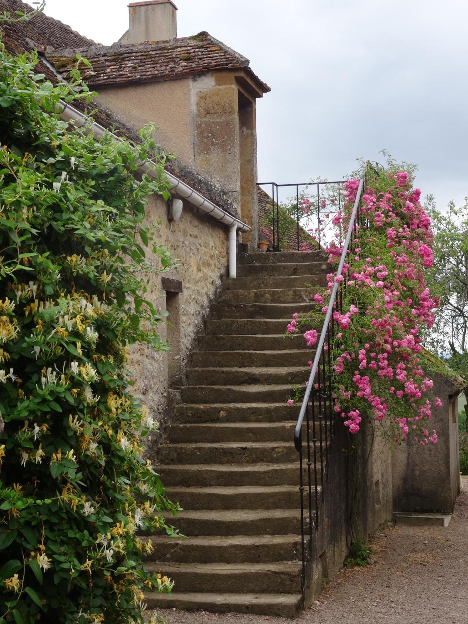 Domaine De Dremont Bed & Breakfast Anthien Ngoại thất bức ảnh