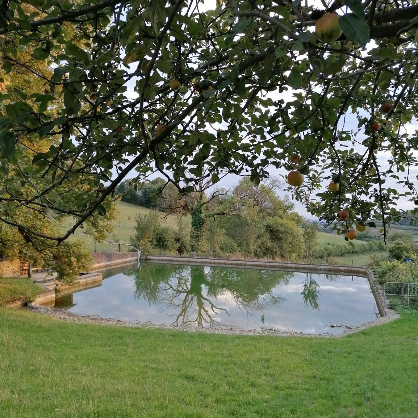 Domaine De Dremont Bed & Breakfast Anthien Ngoại thất bức ảnh